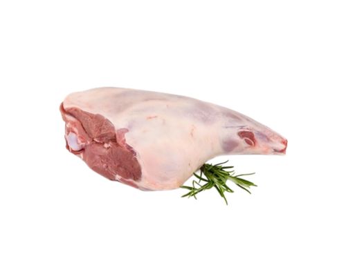 lamb2.jpg